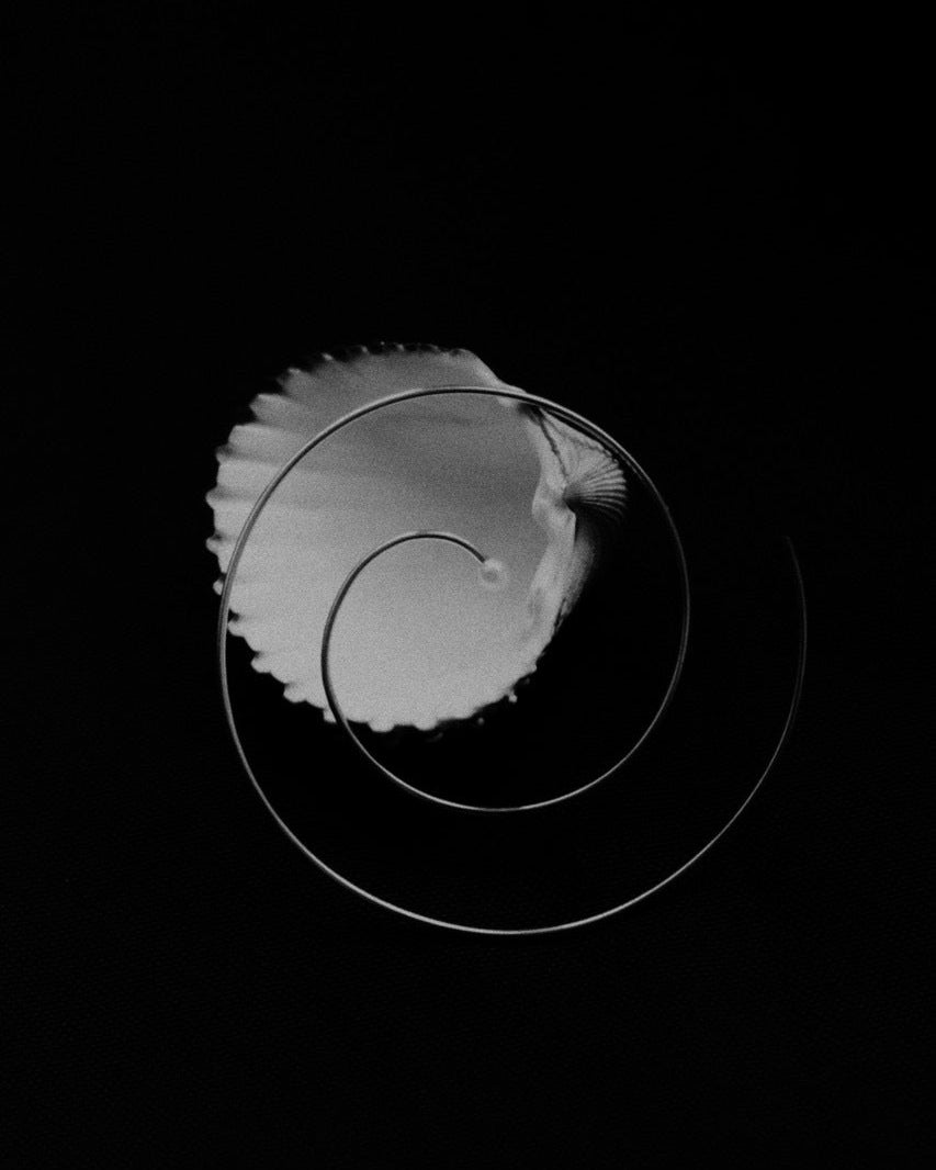 Editorial double-exposure of Reisho silver spiral hoop earring layered with a scalloped shell on black background