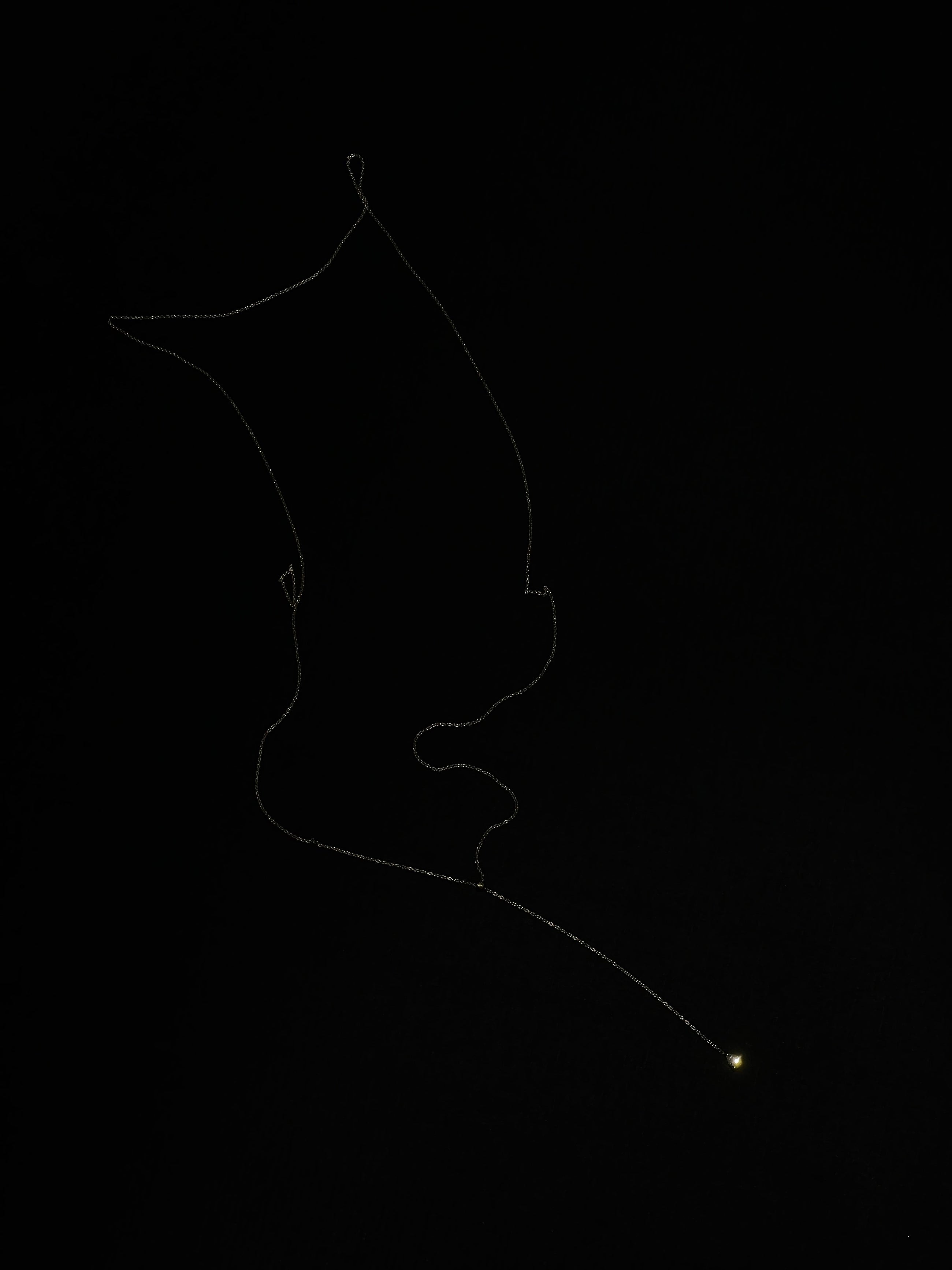 Atmospheric studio of Lera Treyger MA 9 14k yellow gold lariat traced against black background, glowing diamond drop