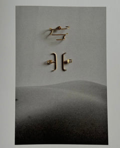 Lera Treyger N 2 — view 5 of 6