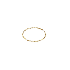 Lera Treyger N 6 ring in 14k yellow gold, delicate rolo chain link band, soft flexible design