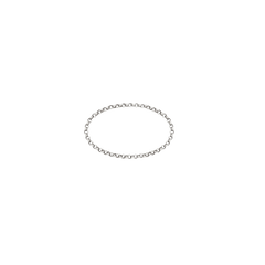 Lera Treyger N 6 ring in 14k white gold, delicate rolo chain link band, studio shot