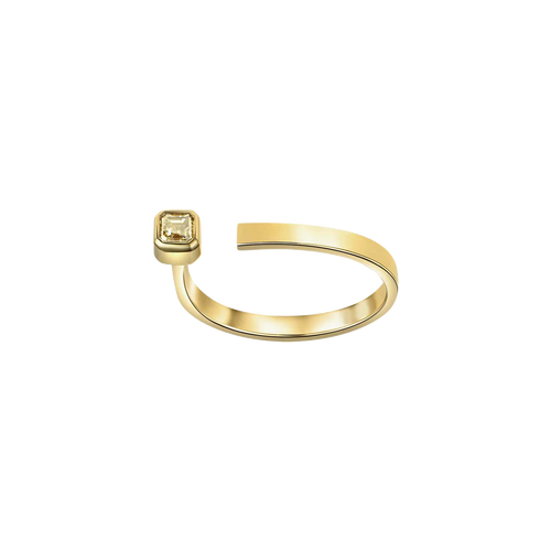 Satori ring